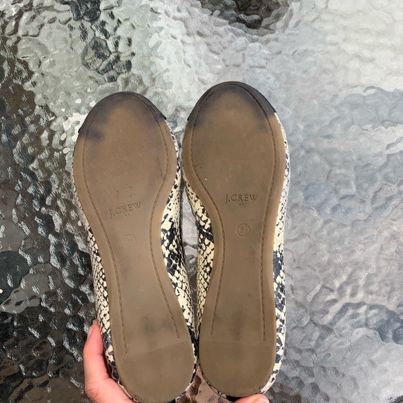 J Crew snake flats - Picture 6 of 6